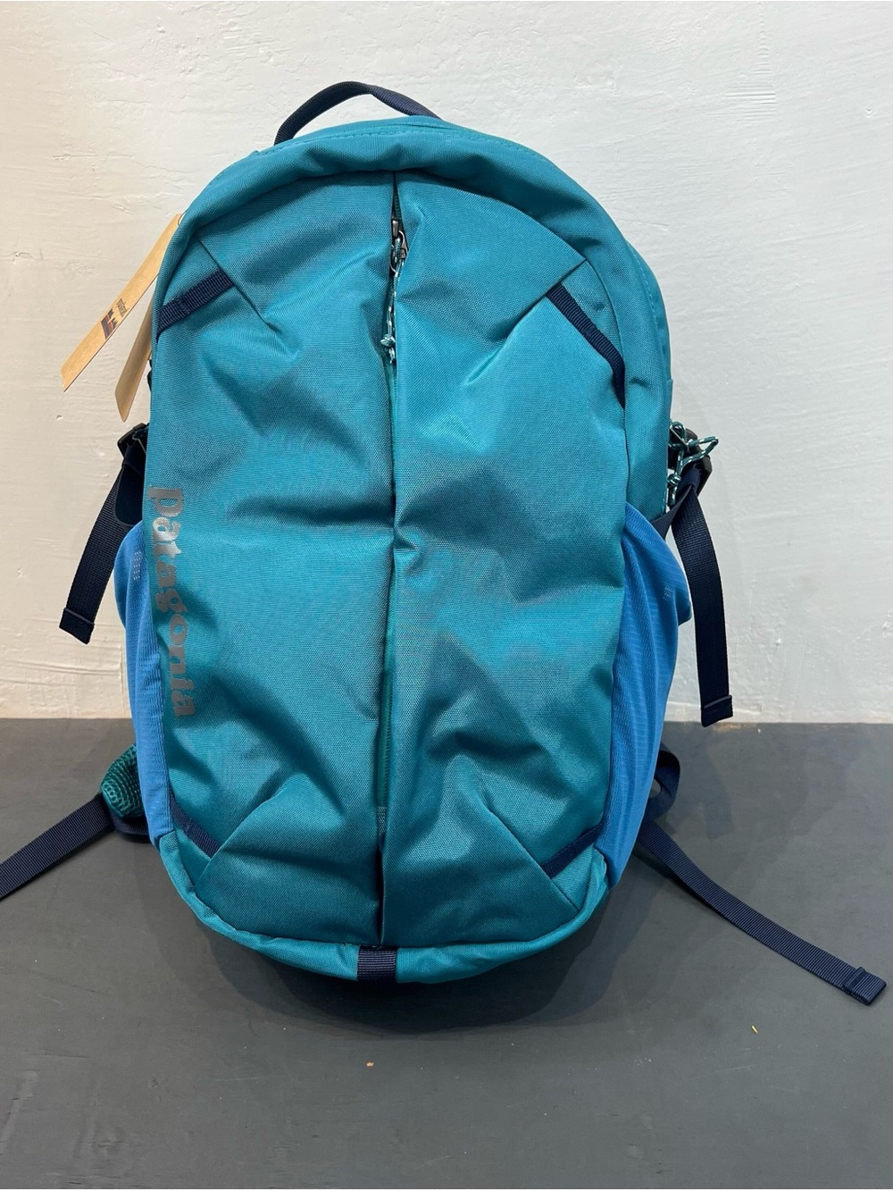 Patagonia Teal and Royal Blue Men's Backpack
